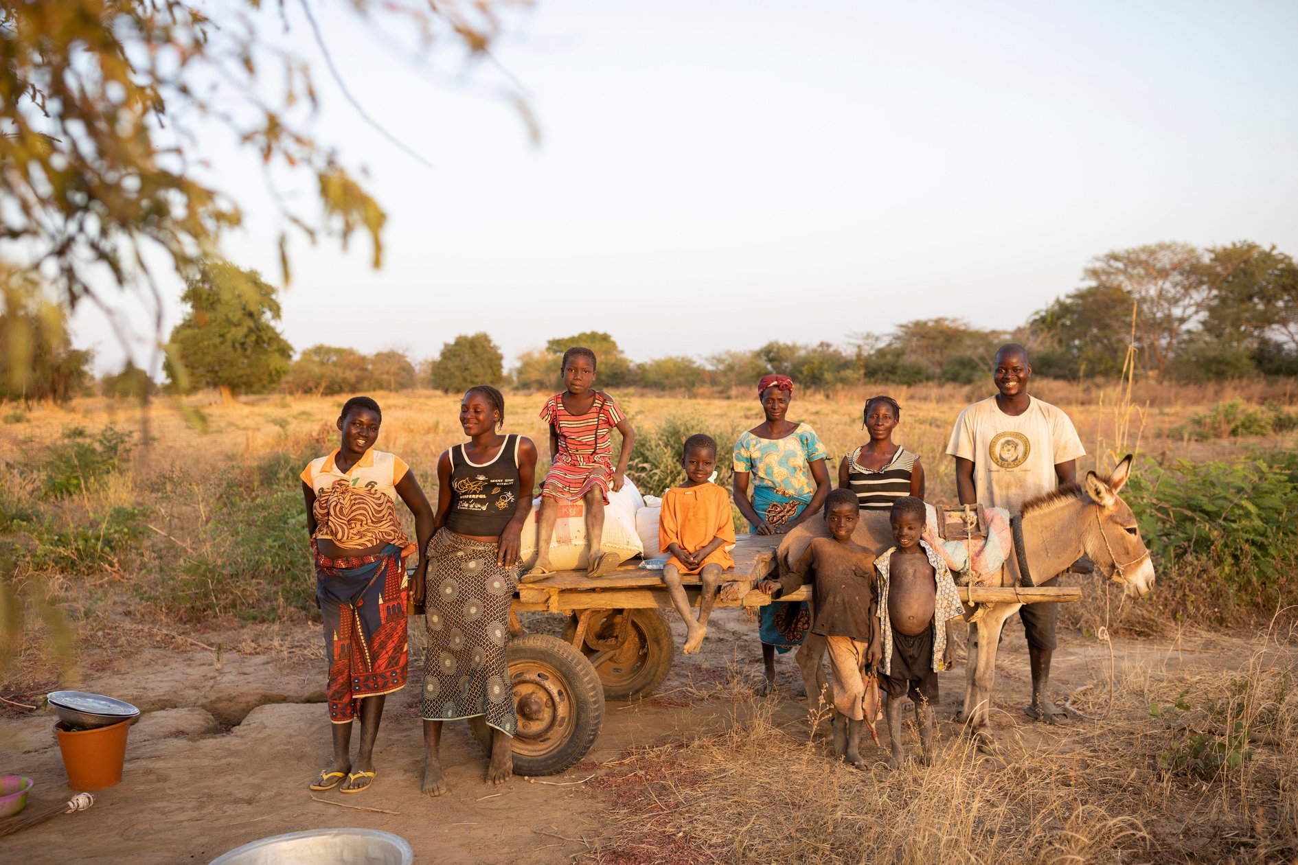 An extended family stand together with their donkey cart in front of their sesame fields in Mouhoun Province, Burkina Faso.